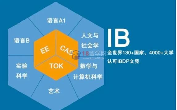 ib課程是什么類型的課程