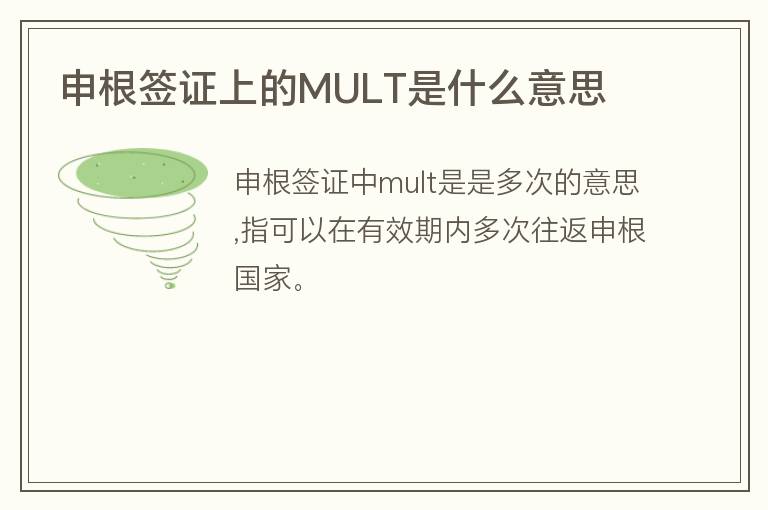 申根簽證上的MULT是什么意思