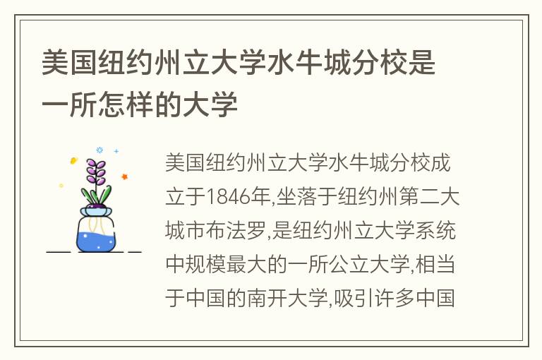 美國紐約州立大學水牛城分校是一所怎樣的大學