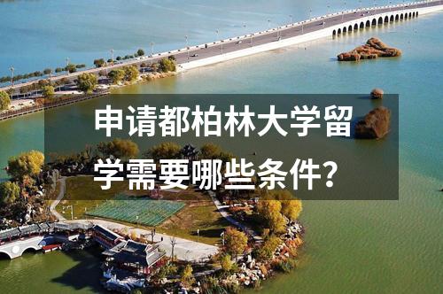 申請都柏林大學留學需要哪些條件？