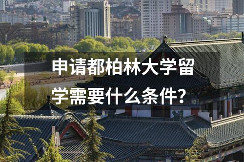 申請都柏林大學(xué)留學(xué)需要什么條件？